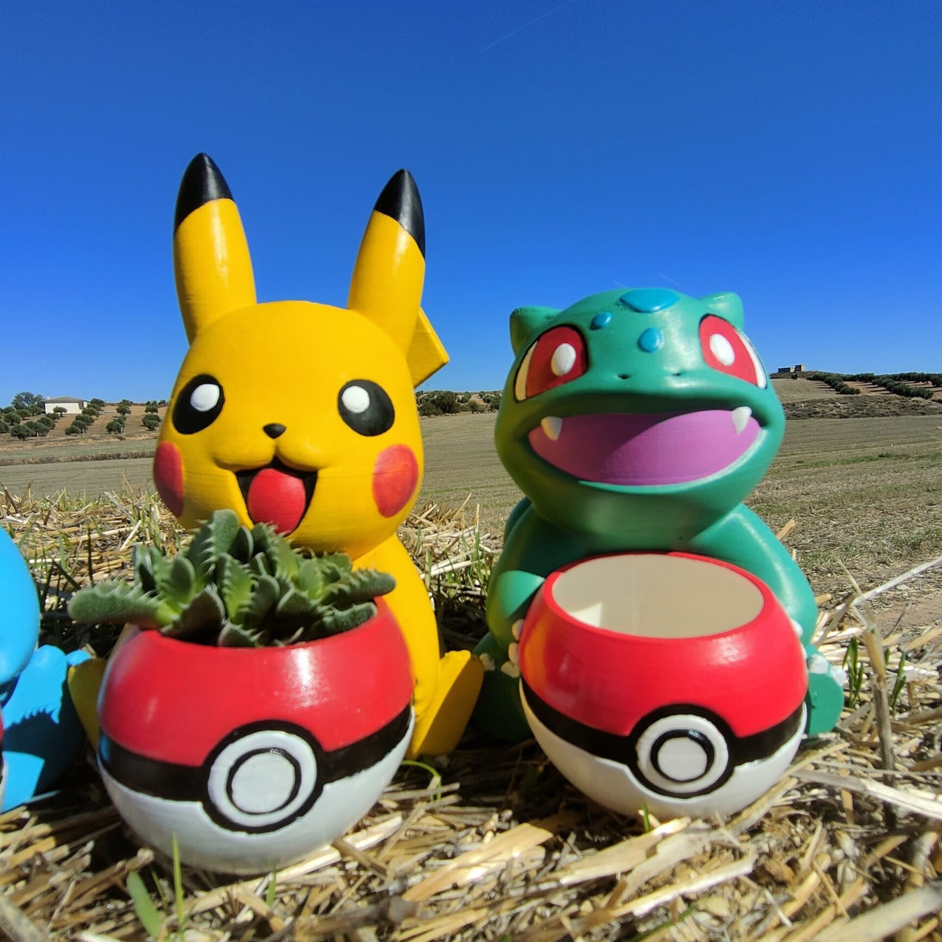 Macetero Pokémon - 2