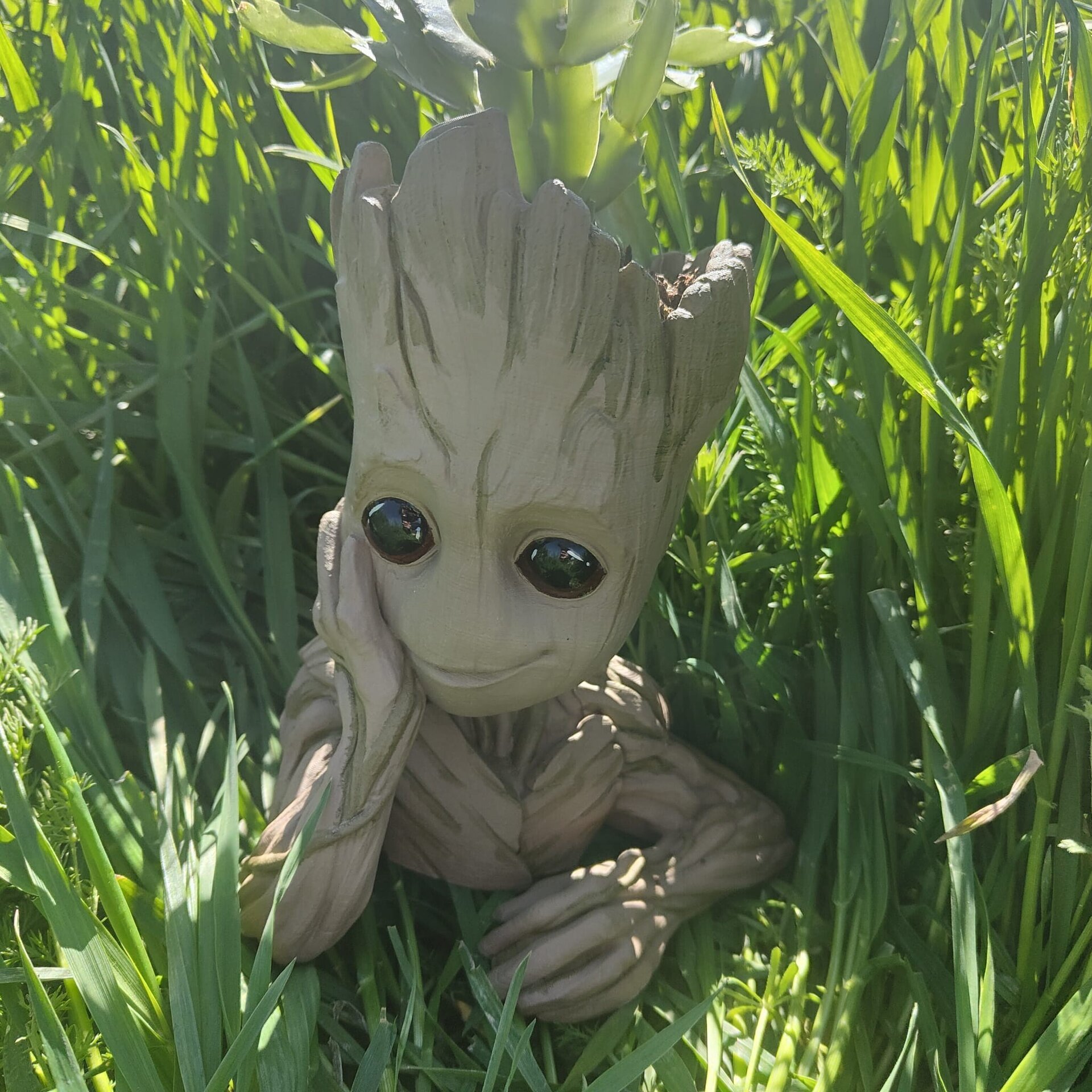 Macetero groot - 5