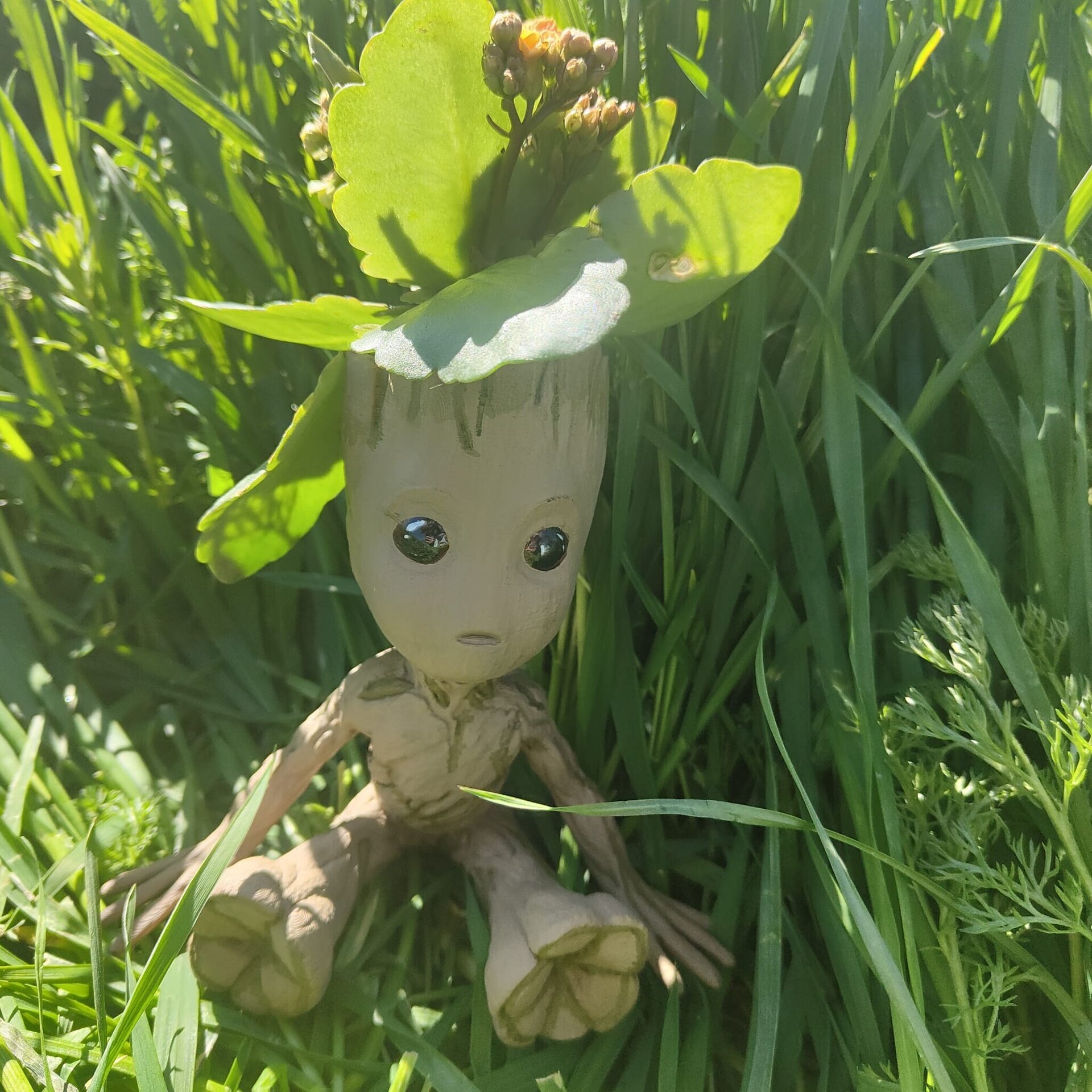 Groot sentado - 2